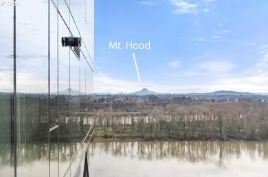 Dream location, dream layout, dream view in South Waterfront's - photo 36