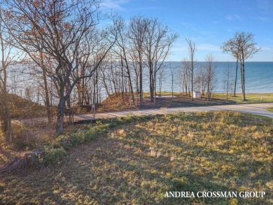 Lake Lot For Sale in Fennville, Michigan