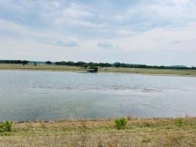 (private lake, pond, creek) Acreage For Sale in Blanket Texas