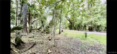 Lake Lot For Sale in Floral City, Florida