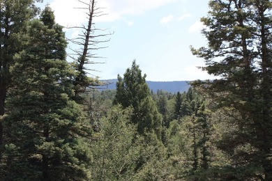Discover the perfect setting for your mountain dream home on - photo 12