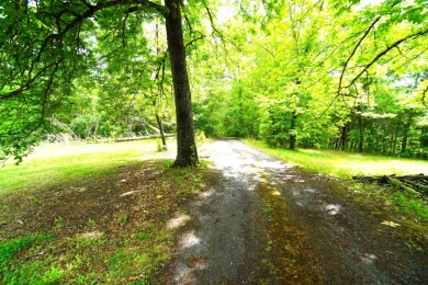 Discover 20 acres of peaceful Tennessee privacy - photo 14
