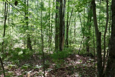 With 3.73+/- acres and private association lake access located - photo 7