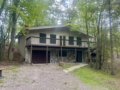 Lake Home For Sale in Hillman, Michigan