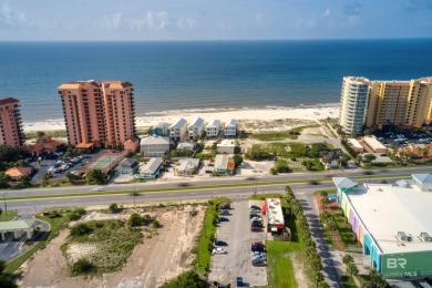400' of prime frontage on Perdido Beach Blvd. The property - photo 11
