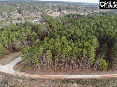 Waterfront Community on Lake Greenwood. Corner lot on 1.3 acres - photo 11