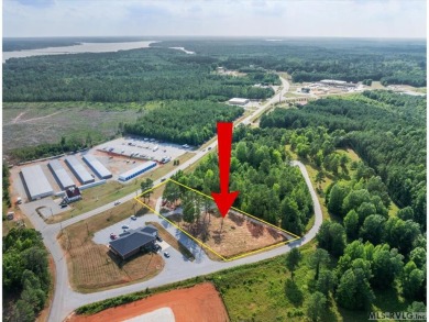 Lake Commercial For Sale in Littleton, North Carolina