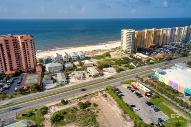 400' of prime frontage on Perdido Beach Blvd. The property - photo 12