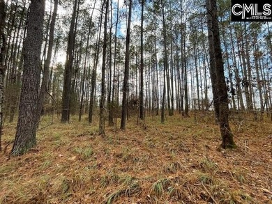 Waterfront Community on Lake Greenwood. Corner lot on 1.3 acres - photo 12