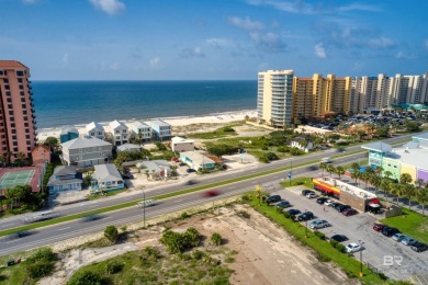 400' of prime frontage on Perdido Beach Blvd. The property - photo 13