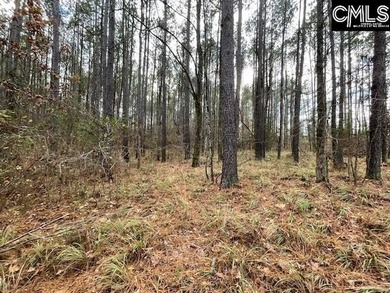 Waterfront Community on Lake Greenwood. Corner lot on 1.3 acres - photo 13