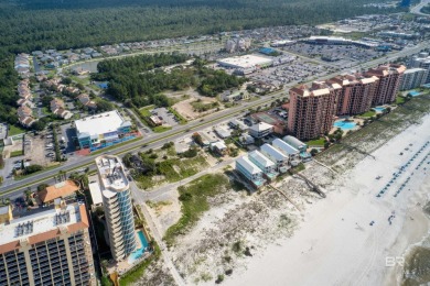 400' of prime frontage on Perdido Beach Blvd. The property - photo 14