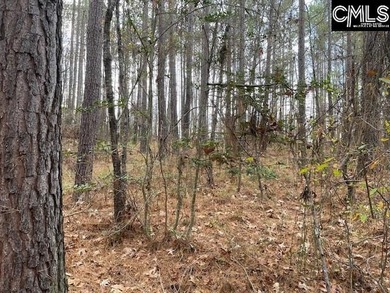 Waterfront Community on Lake Greenwood. Corner lot on 1.3 acres - photo 14