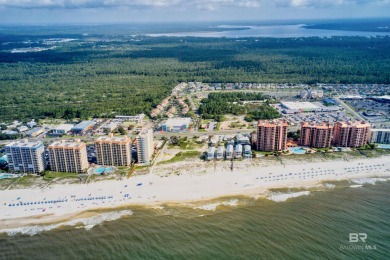 400' of prime frontage on Perdido Beach Blvd. The property - photo 15