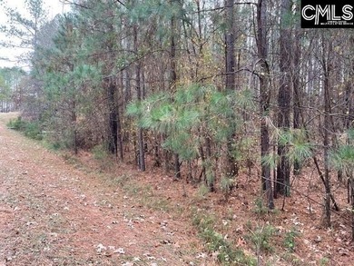 Waterfront Community on Lake Greenwood. Corner lot on 1.3 acres - photo 15