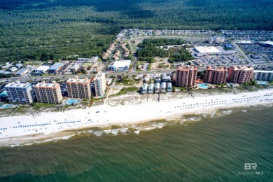 400' of prime frontage on Perdido Beach Blvd. The property - photo 16