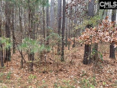 Waterfront Community on Lake Greenwood. Corner lot on 1.3 acres - photo 16