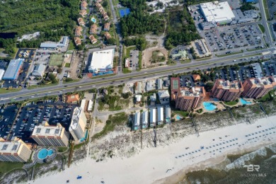 400' of prime frontage on Perdido Beach Blvd. The property - photo 17