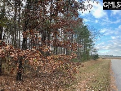 Waterfront Community on Lake Greenwood. Corner lot on 1.3 acres - photo 17