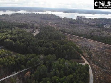 Waterfront Community on Lake Greenwood. Corner lot on 1.3 acres - photo 19