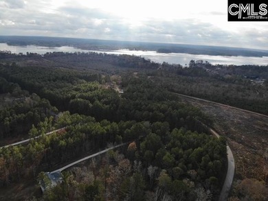 Waterfront Community on Lake Greenwood. Corner lot on 1.3 acres - photo 20