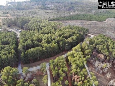 Waterfront Community on Lake Greenwood. Corner lot on 1.3 acres - photo 21