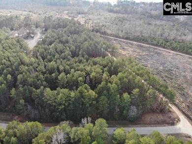 Waterfront Community on Lake Greenwood. Corner lot on 1.3 acres - photo 22