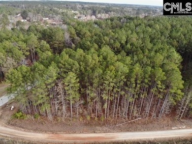 Waterfront Community on Lake Greenwood. Corner lot on 1.3 acres - photo 23