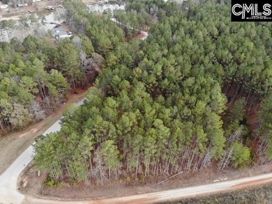 Waterfront Community on Lake Greenwood. Corner lot on 1.3 acres - photo 24