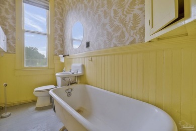 Let your imagination breathe new life into this historic Queen - photo 36