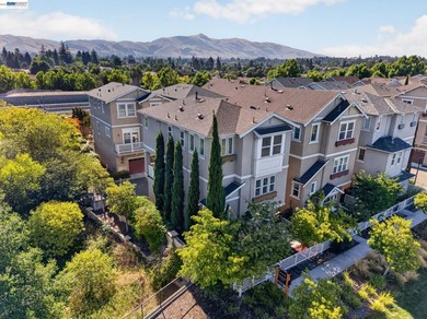 Welcome to 40807 Tomales Terrace, a beautifully refreshed home - photo 7