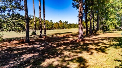 Experience a life of luxury at this gorgeous golf course home - photo 42