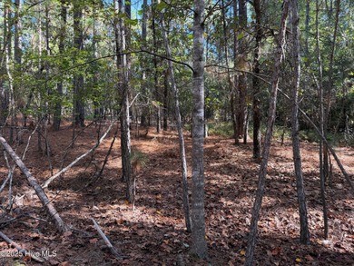 Lake Auman Lot For Sale in West End North Carolina