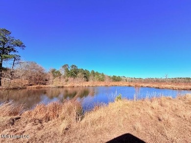 (private lake, pond, coastal) Acreage For Sale in Mount Hermon Louisiana