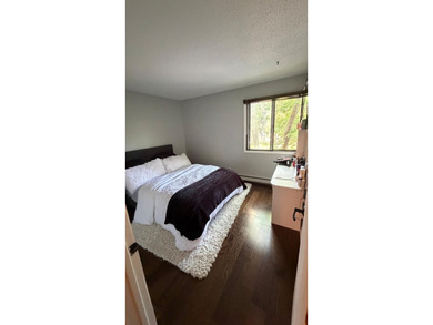 Stunning, updated 2 bed 2 bath condo in superb Minnetonka - photo 15