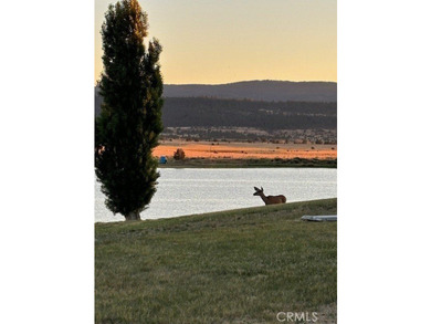 Lake View Dr - photo 16