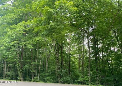 Beautiful wooded lot with private community boat launch and is a - photo 2