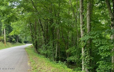 Beautiful wooded lot with private community boat launch and is a - photo 3