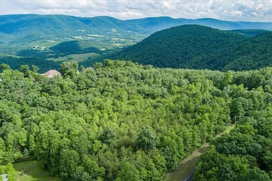 Escape to nature with this stunning 2.5-acre wooded parcel - photo 5