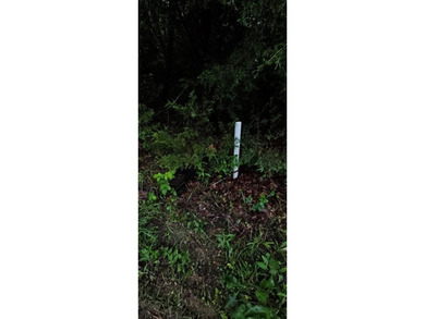 Escape to nature with this stunning 2.5-acre wooded parcel - photo 10