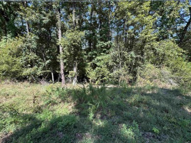 Lake Lot For Sale in Edgemont, Arkansas