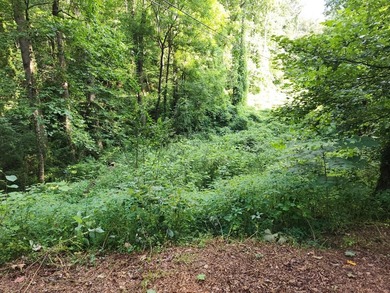 Lake Emory Lot For Sale in Franklin North Carolina