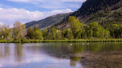 Stillwater on Rock Creek is a rare mountain in-holding tucked - photo 4