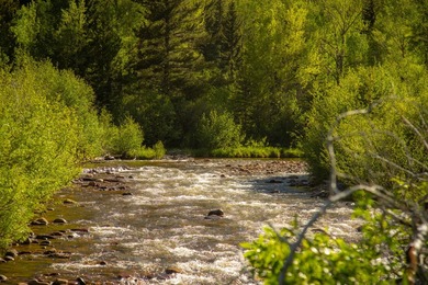 Stillwater on Rock Creek is a rare mountain in-holding tucked - photo 8