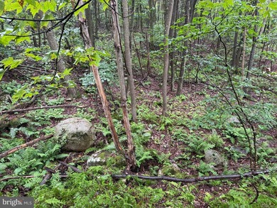 OWN A PIECE OF WEST VIRGINIA! 2.04 (UNRESTRICTED) ACRES. ONLY A - photo 14
