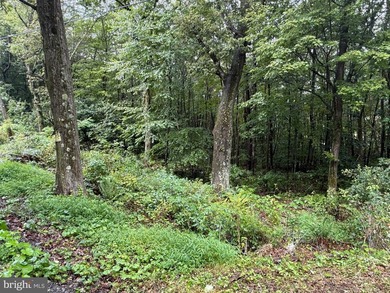 OWN A PIECE OF WEST VIRGINIA! 2.04 (UNRESTRICTED) ACRES. ONLY A - photo 17