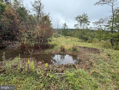 OWN A PIECE OF WEST VIRGINIA! 2.04 (UNRESTRICTED) ACRES. ONLY A - photo 22