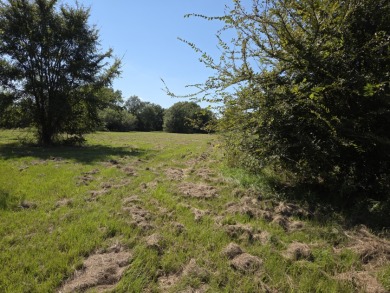 Lot 4 & 5 April Cove - Lake Acreage For Sale in Streetman, Texas