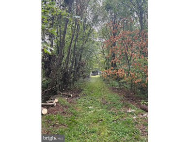 OWN A PIECE OF WEST VIRGINIA! 2.04 (UNRESTRICTED) ACRES. ONLY A - photo 31