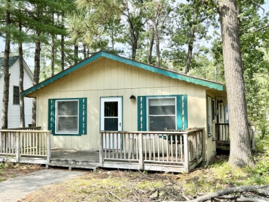 Lake Home For Sale in Johannesburg, Michigan